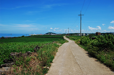 제주 올레길 17코스