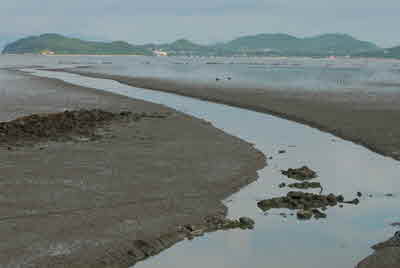 땅끝길 3구간 묵동갯길