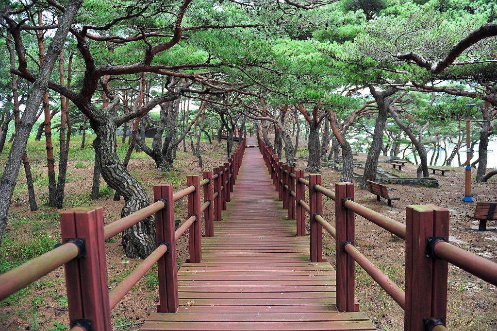 서포리웰빙산책로 (덕적도)