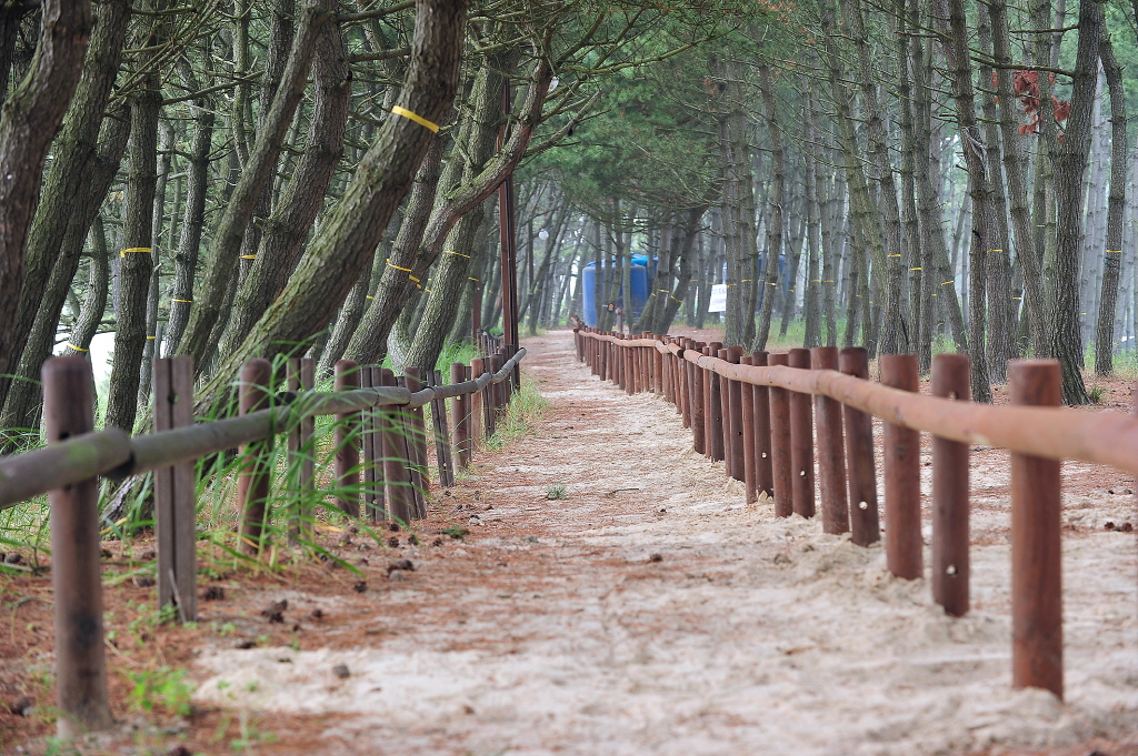 노을길 (태안해변길)