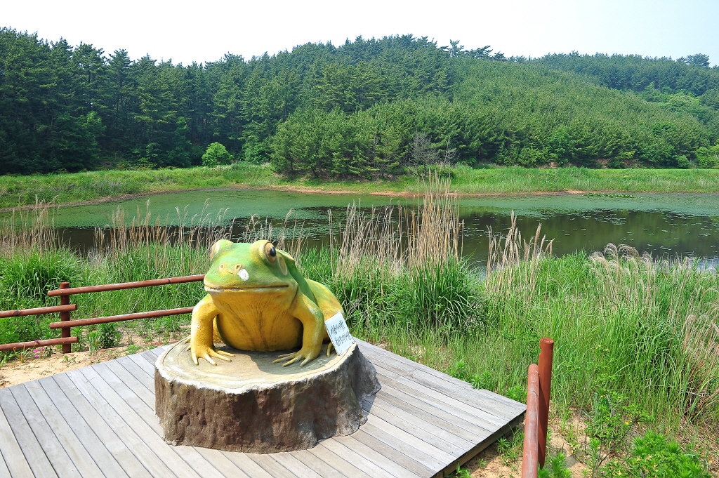 바라길 (태안해변길)