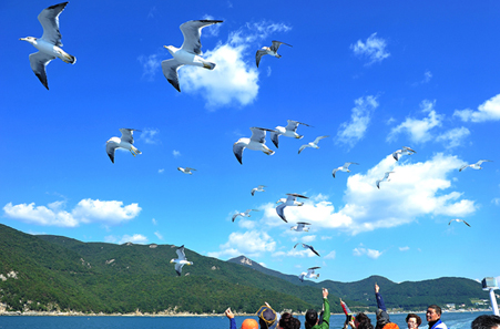 거제도 장사도 유람선