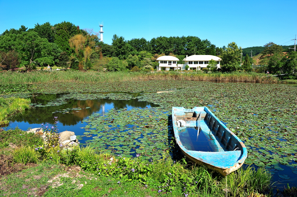 천리포  수목원