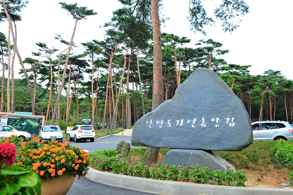 안면도자연휴양림