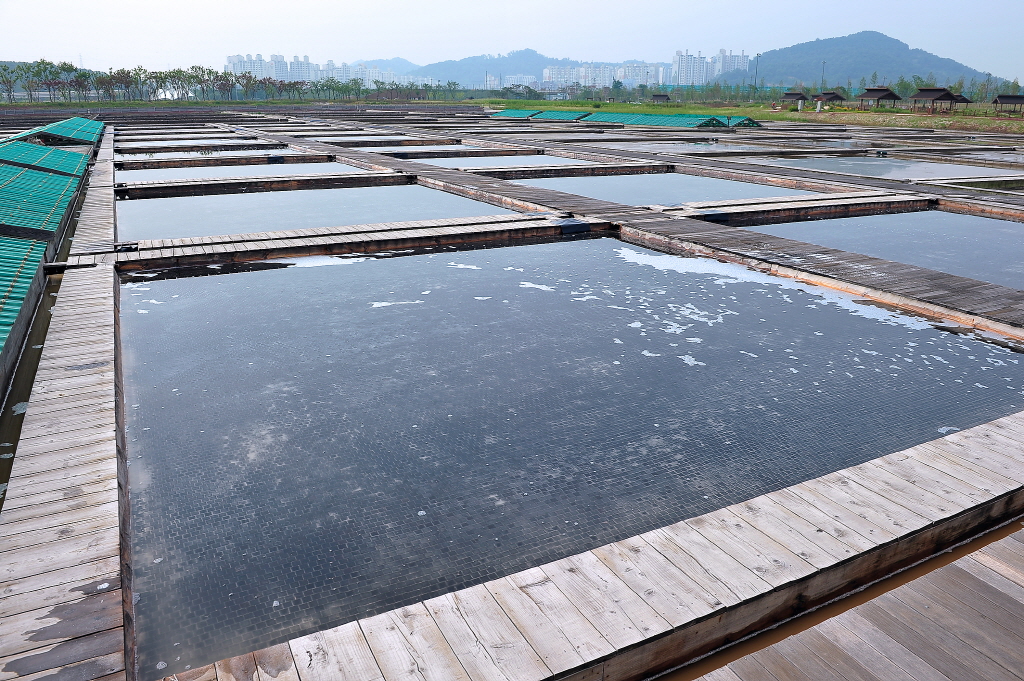 시흥갯골생태공원