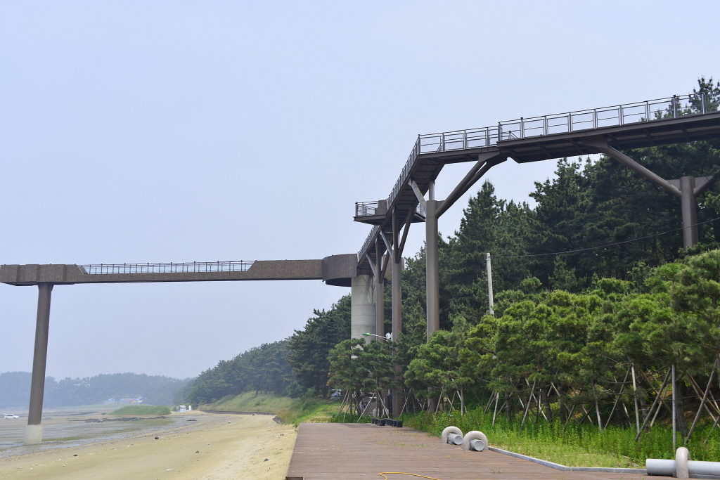 장항송림산림욕장